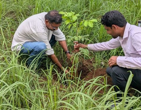 Environment Day 2026
