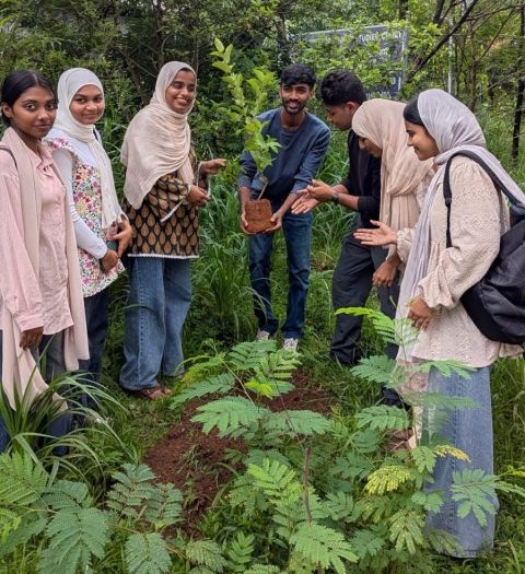 Environment Day 2026
