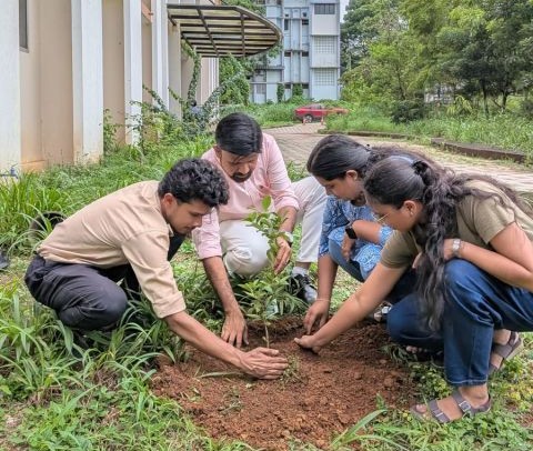 Environment Day 2026